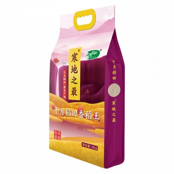 十月稻田 寒地之最 香稻王 东北大米 5kg *2件
