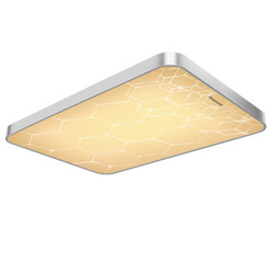 限PLUS会员：Panasonic 松下 HHLAZ5026 LED吸顶灯 75W+玄关灯